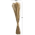 thumbnail image 3 of 41" Handmade Tall Floral Bouquet Dried Plant Natural Foliage Grass Bouquet with Reed Accents, by DecMode, 3 of 7