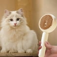 thumbnail image 4 of 3-in-1 Rechargeable Pet Steam Brush - Cat & Dog Grooming Brush with Water Tank, Anti-Static & Shedding Control, One-Touch Hair Release for Long/Short Hair, 4 of 7