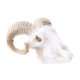 thumbnail image 5 of Aquarium Decor, Reptile Habitat Decorations Del Acuario Hideouts Fish Shelter Hide Caves - Cráneo De Yuyangstore Grandes decoraciones de acuario, 5 of 8