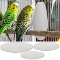 thumbnail image 4 of 10pcs Cuttlebone For Parakeet Cuttle Bone Bulk For Birds Calcium Parrot Beak Stone Cuttlefish Bone With Holder For Budgies, 4 of 5