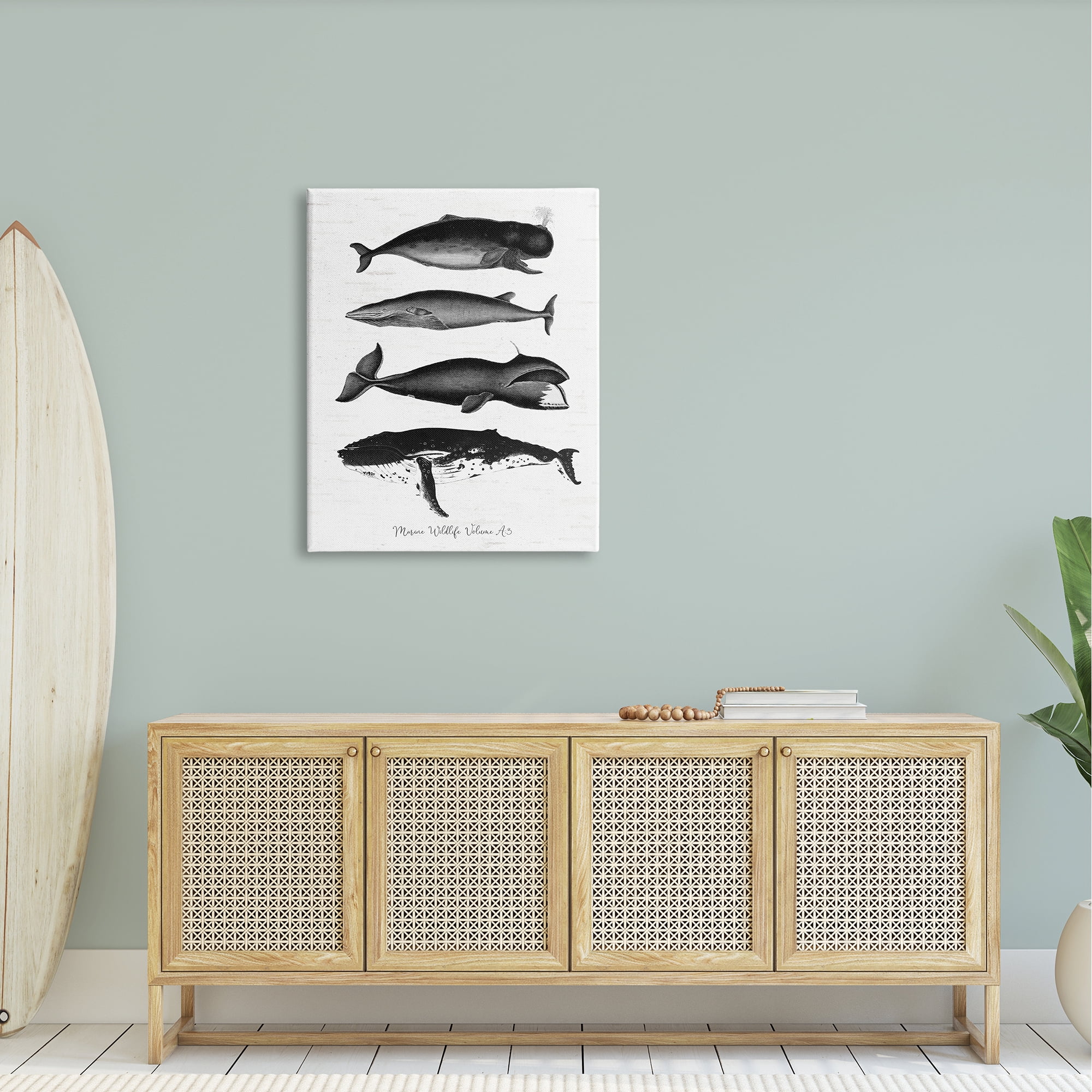 Stupell Industries Marine Wildlife Whales Drawings Diagram Weathered Pattern Graphic Art Gallery Wrapped Canvas Print Wall Art, Design by Lettered and Lined