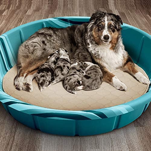Round whelping cheap pads