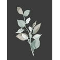 thumbnail image 2 of Loreth, Lanie 19x24 White Modern Wood Framed Museum Art Print Titled - Eucalyptus Branch On Charcoal II, 2 of 4