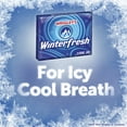 thumbnail image 3 of Wrigley's Winterfresh Chewing Gum, Single Pack, 15 Count, Plastic Packet, 3 of 6