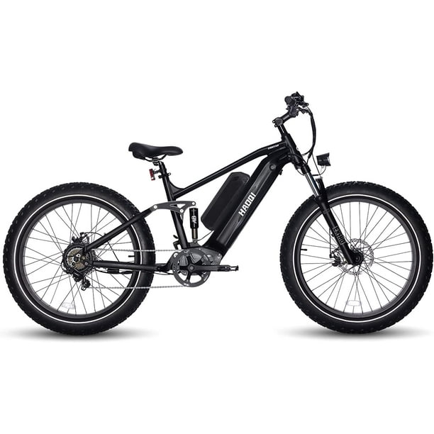 HAOQI Black Cheetah Electric Bike for Adults, 48V 25Ah Removable Dual