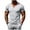Gray, variant on Mens Slim Fit V Neck T Shirts Short Sleeve Quick Dry Muscle Shirts Workout Athletic Gym Bodybuilding Undershirts Solid Color Athletic Training Tops