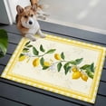 thumbnail image 3 of Yellow Lemons Entryway Rug 2'x3'&nbsp; Non Slip Front Door Mats, Summer Botanical Checkered Farmhouse Entrance Rugs Indoor Outdoor Carpet, Washable Floor Mats Small Area Rug for Bedroom Kitchen, 3 of 8