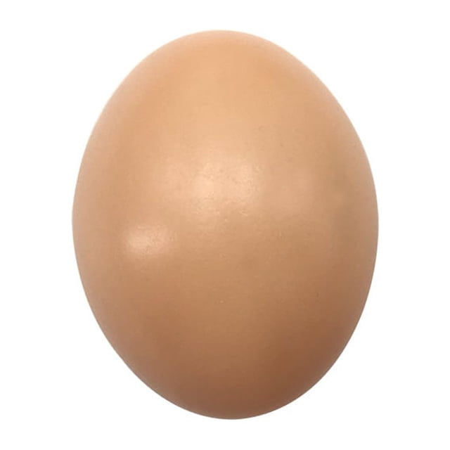 Juego de 5 huevos de gallina de madera de imitación realistas: huevos falsos para gallineros, nidos y refugios para gallinas ponedoras: accesorio para perchas y cerramientos de jardín al aire libre