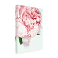 thumbnail image 4 of Trademark Fine Art Rosana Laiz Blursbyai Blush peony VII Canvas Wall Art, 4 of 4