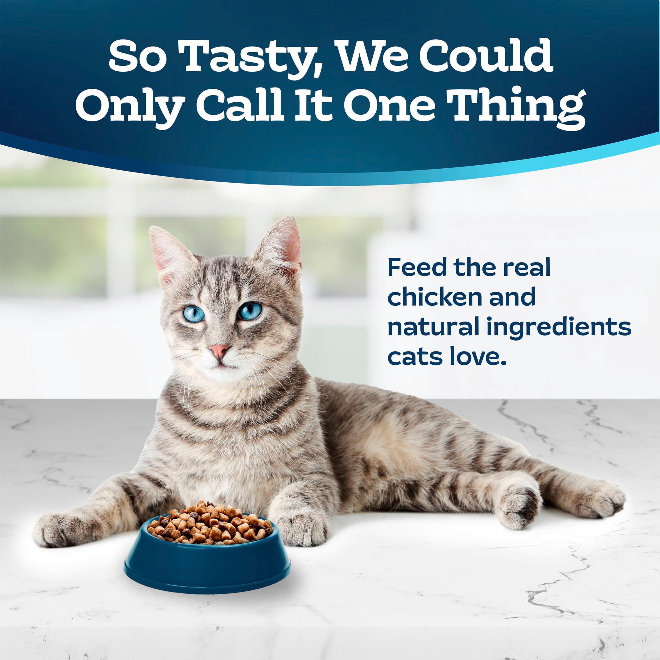 Blue Buffalo Tastefuls Adult Indoor Dry Cat Food, Chicken & Brown Rice, 3-lb Bag