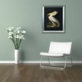 thumbnail image 3 of Trademark Fine Art "American White Pelican" Canvas Art by John James Audubon Black Matte, Silver Frame, 3 of 3