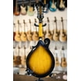 thumbnail image 5 of Gold Tone GM-35 F-Style Mandolin Tobacco Sunburst, 5 of 11