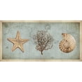 thumbnail image 3 of Devellier, Deborah 14x9 Black Modern Framed Museum Art Print Titled - Sea Treasures II, 3 of 5