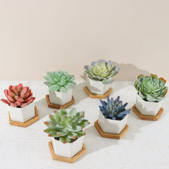 Efavormart 6 Pack | 3" White Geometric Hexagon Ceramic Planter Pots, Bamboo Tray Base w/ Drainage Hole, Cactus & Succulent Planters With Removable Bottom