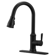 Kitchen Sink Faucet with Pull Out Sprayer 360° Swivel Spout, Black