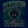 thumbnail image 2 of Boys Harry Potter Slytherin Pride and Ambition T Shirt, 2 of 4