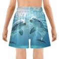 thumbnail image 5 of joogoo Dolphins Swim Boys Swim Trunks Beach Swimsuit Shorts Boxer 12-13Y, 5 of 8