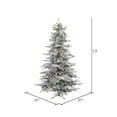 thumbnail image 3 of Vickerman 7.5' Flocked Sierra Fir Artificial Christmas Tree, Multi-Colored LED Dura-Lit lights, 3 of 5