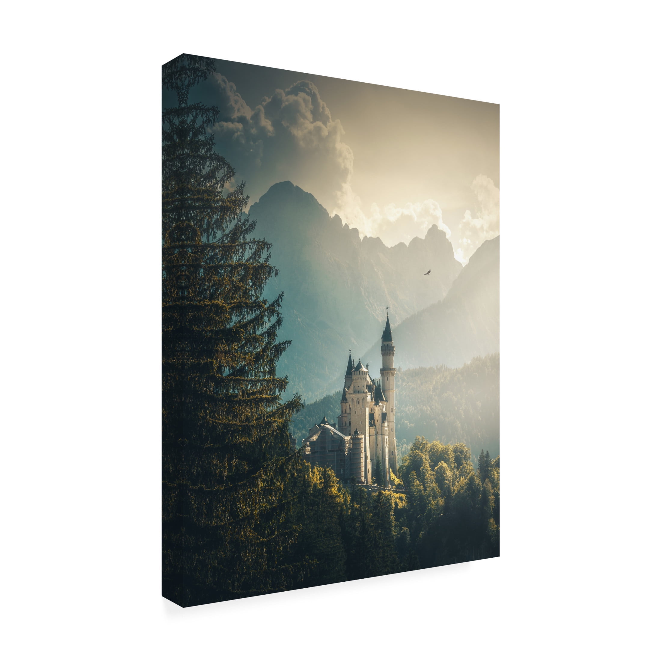 Cuma Cevik 'Neuschwanstein Castle' Canvas Art - 24 x 32 Inches