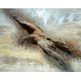 thumbnail image 2 of Bolokofsky, Ronald 24x20 Gold Ornate Wood Framed with Double Matting Museum Art Print Titled - Soaring Above the Clouds, 2 of 4