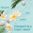thumbnail image 6 of Febreze Plug In Air Freshener, Odor-Fighting Scented Oil Refill, Bora Bora Waters, 2 Refills, 6 of 13