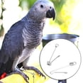 thumbnail image 1 of Parrots Leg Buckle, Parrots Foot Buckle, Durable Parrots Foot  2Pcs Stainless Steel Parrots Leg  Bird Parrots Parrots Foot  For Pet, 1 of 8