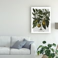 thumbnail image 3 of Trademark Fine Art 'Peppers 6' Canvas Art by Fab Funky, 3 of 3