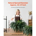 thumbnail image 2 of VEVOR Artificial Ferns 2 Pcs, Natural Spread Diameter 43-47 Inch, Large Hanging Artificial Boston Ferns, Fake Plant Wall Decor with 50 Branches, Faux Fern for Home and Office (Flowerpot Unincluded), 2 of 9
