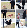 thumbnail image 4 of Pet Dog Explosion-Proof Leash Pet Leash Waist Crossbody Free Hands Dog Leash Red Floral, 4 of 8