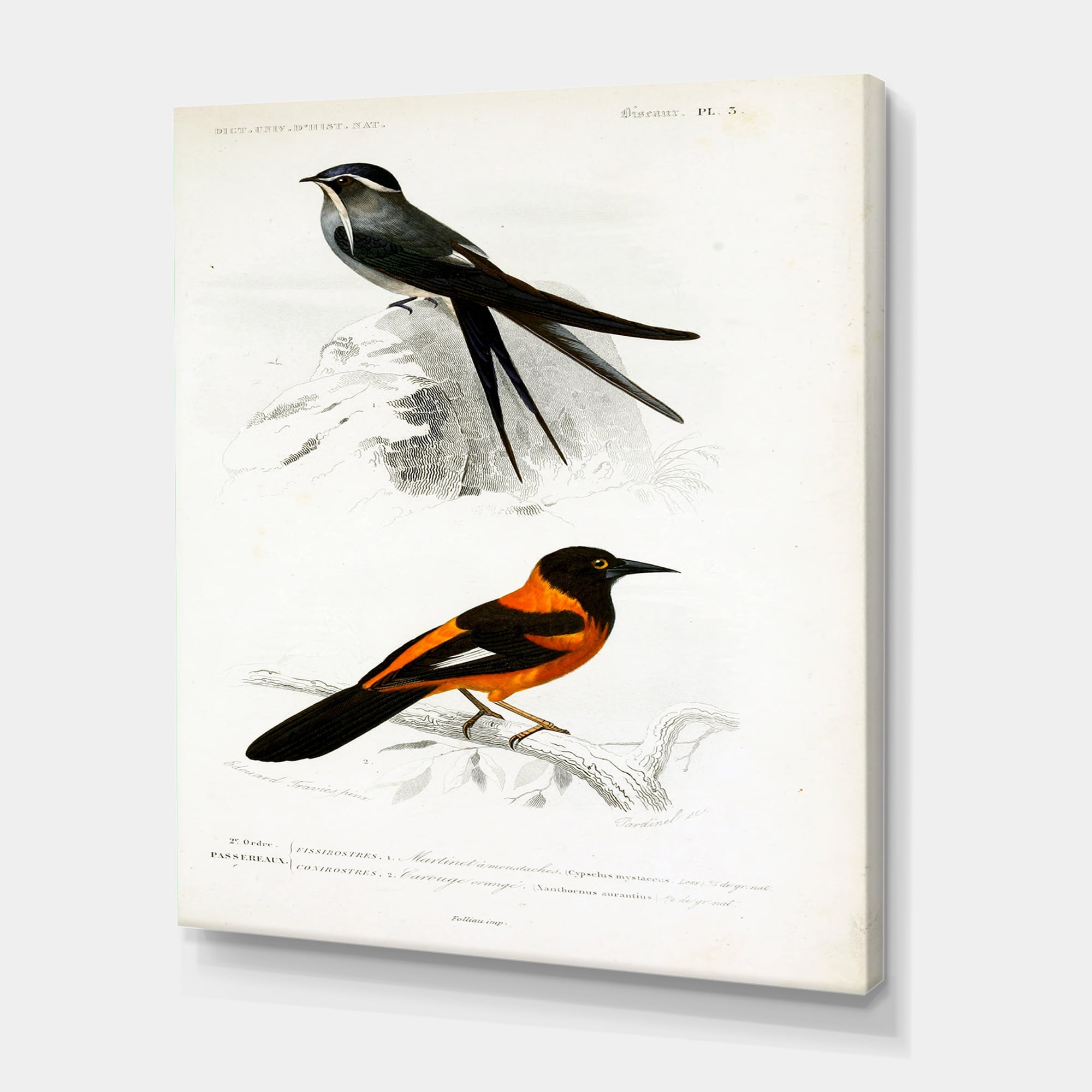 Designart ' Ancient Bird II ' Traditional Canvas Wall Art Print