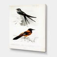 thumbnail image 3 of Designart ' Ancient Bird II ' Traditional Canvas Wall Art Print, 3 of 4