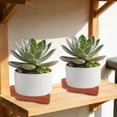 thumbnail image 4 of Dianli Garden Accessories Pot Feet Pads Breathable Ventilation Pot Lifters Modular Base Plant Risers Protect Surfaces Promote Drainage for Indoor Outdoor Garden Pot Pads Pot Feet, 4 of 6
