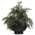 thumbnail image 1 of Bouclair plante artificial, 1 of 6