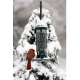 thumbnail image 4 of Squirrel Buster Finch Squirrel-proof Bird Feeder w/4 Metal Perches & 8 Feeding Ports, 2.4-pound Thistle/Nyjer Seed Capacity, 4 of 9