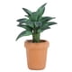 thumbnail image 2 of Plantas en maceta en miniatura para casa de muñecas 1:12 adorno decorativo en miniatura para casa de muñecas DIY para amantes de las muñecas para niños ANGGREK Otros, 2 of 8