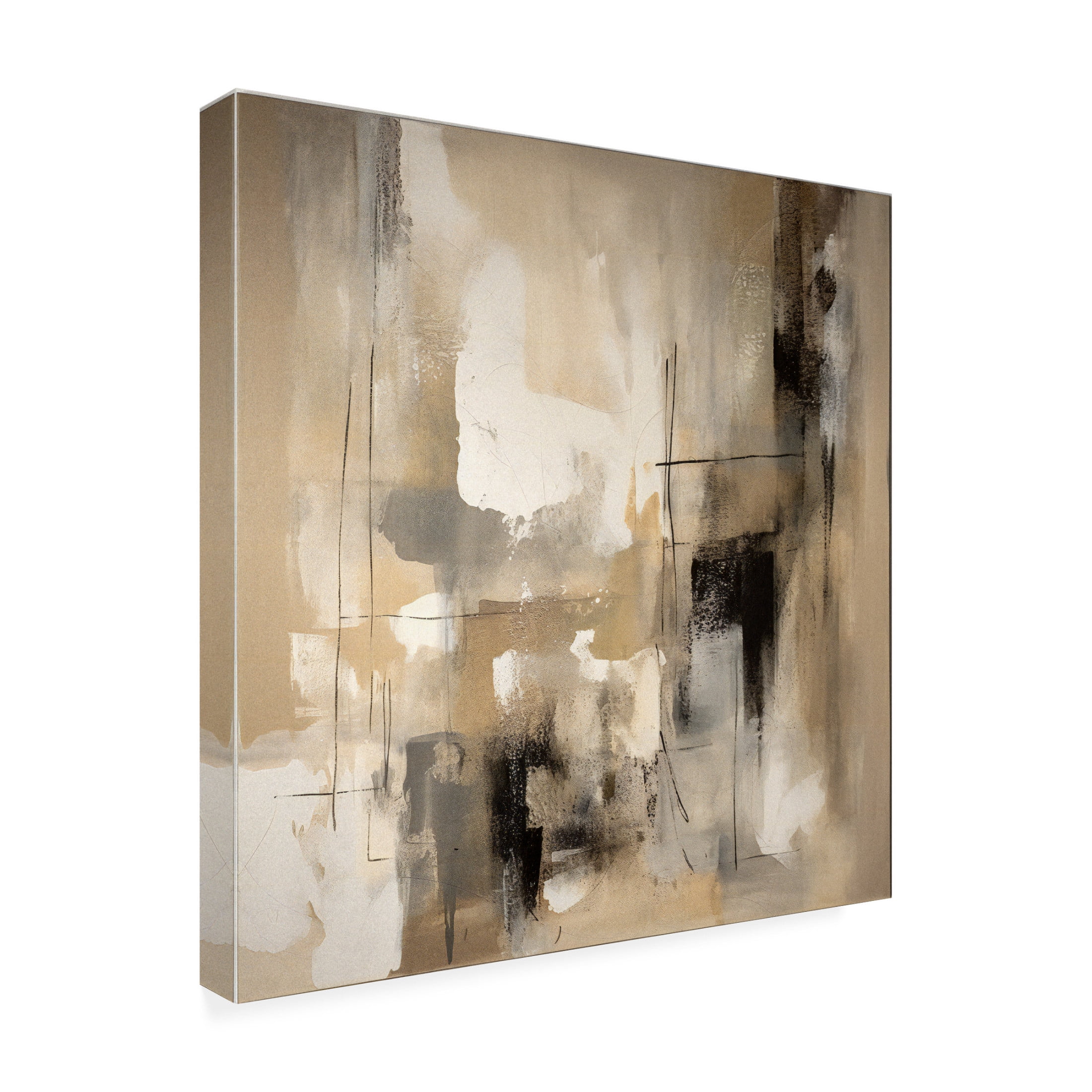 Trademark Fine Art Emel Tunaboylu  Po 3 Canvas Wall Art