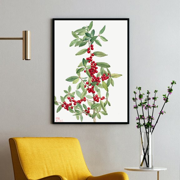 Yaupon - Ilex vomitoria - 1926 | Mary Vaux Walcott | Premium Fine Art Print | 19th Century American | Botany Art | Botanical | Plant Art | Nature Art