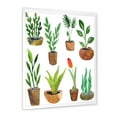 thumbnail image 3 of Designart 'Eight House Plants In Claypots' Traditional Framed Art Print, 3 of 4