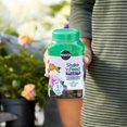 thumbnail image 5 of Miracle-Gro Shake 'n Feed Rose & Bloom Plant Food 1 lb., 5 of 13