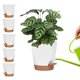 thumbnail image 1 of 5-pack - Självvattnande kruka / Självbevattning / Blomvattnare Vit 5-Pack, 1 of 5