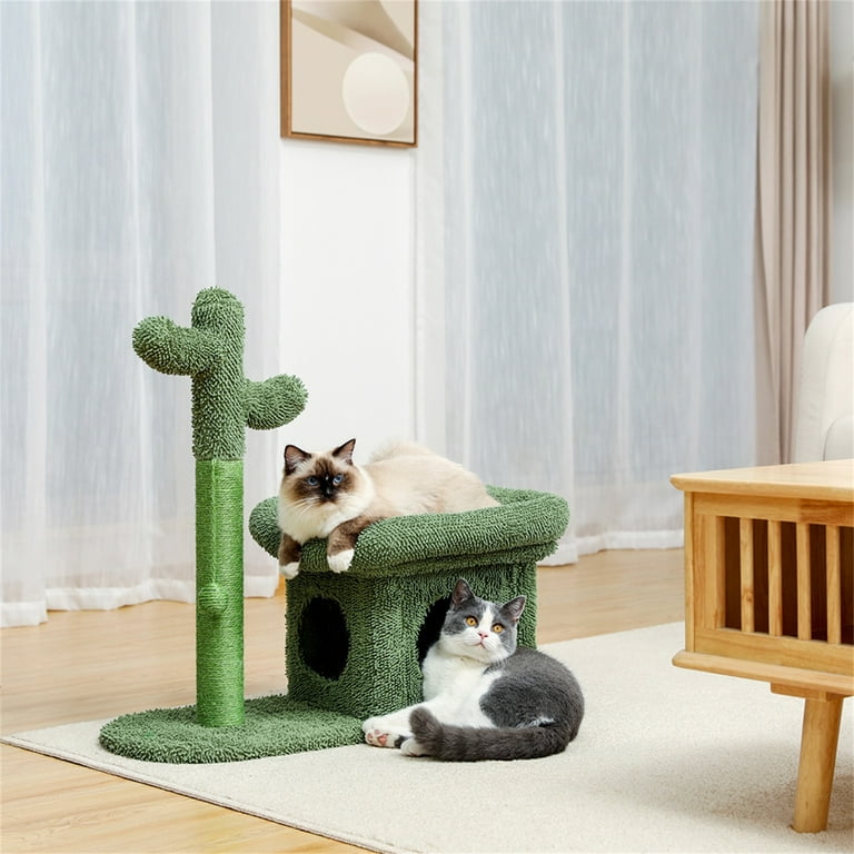 Cat top tree supplies