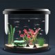 thumbnail image 4 of BESTYASH 2Ud Planta Decorativa Para De Peces Con Acabado Fino Y Material Duradero Para Escritorio, 4 of 5