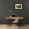 thumbnail image 3 of Rauscher, Michel 32x23 Black Ornate Wood Framed with Double Matting Museum Art Print Titled - Nature Shapes 1, 3 of 4