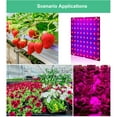 thumbnail image 2 of yeacher LED Quantum Board Grow Light with Red Blue Spectrum for Indoor Plant Cultivation, D1 Model - 169 LEDs (Large) - US Plug Included, 2 of 6