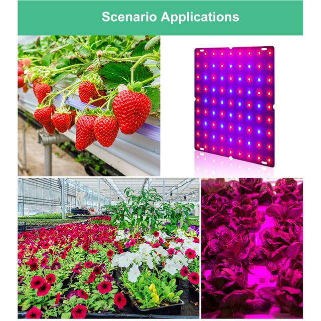 Lumière de Plante à Panneau Quantique LED Rouge et Bleu Spectre Lumière de Culture Intérieure