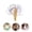 White, variant on Colorful Ribbon,Green Portable Wedding Sticks with Gold Bells,QZS Reusable Streamers Sticks for Celebration,Dance Ribbons for Wedding Party,20Pcs