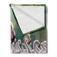 thumbnail image 2 of Ambesonne Flamingo Fleece Throw Blanket Serene Birds Nature Scene 50"x70" Soft Pink and Lime Green, 2 of 5