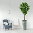 thumbnail image 3 of Artificial Tree in Modern Planter, Fake Ficus Silk Tree for Indoor and Outdoor Home Decoration - 75" Overall Tall (Plant Pot Plus Tree), 3 of 5