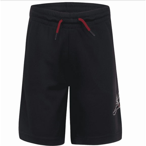 Jordan Little Boys Jumpman Big Air Mesh Shorts