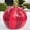 D, variant on Kiplyki Outdoor Christmas Inflatable Decorated Giant Christmas Inflatable Christmas Tree Decorations